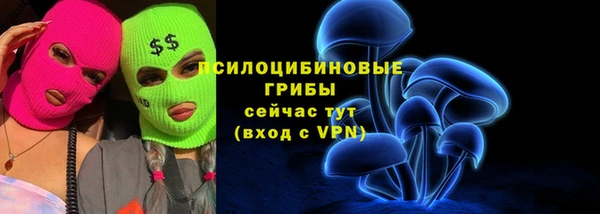 прущая мука Гусев