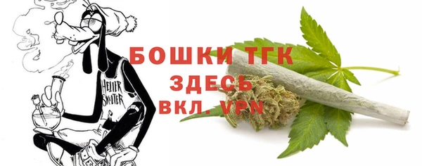 винт Гусь-Хрустальный
