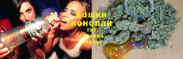 прущая мука Гусев